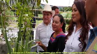 GOBERNADOR Y SECRETARIA DE BIENESTAR VISITAN HUERTOS DE TOPIA Y CANELAS.