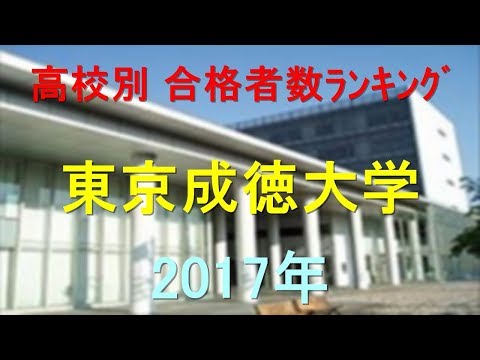 臨床検査学科 東京成徳大学 高校別合格者数ランキング 2017年【グラフでわかる】