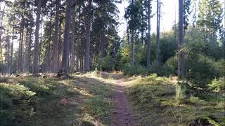 The Death of Queen Jane (Child 170) - John Jacob Niles