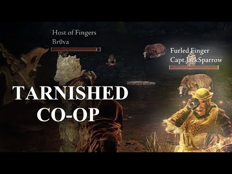 ELDEN RING Co-op in 1 minute