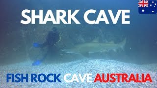 Fish Rock Cave Australia | Blue Horizon Diving