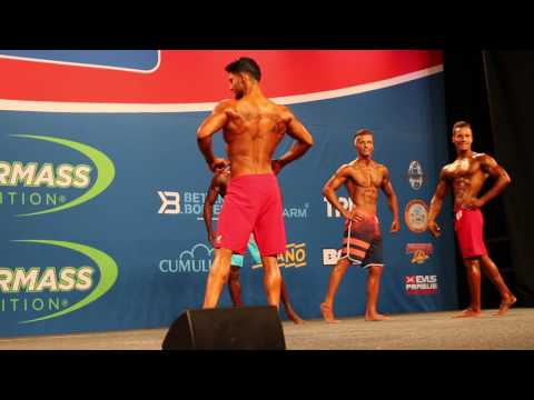 NFE 2016: Milad Amiri