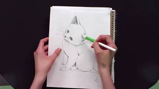 BOYS AND GIRLS CLUB   ART CAT