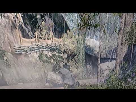 Qoitoro Tarinoiden Aito Sankari Sotilas Kuolematon Siirto