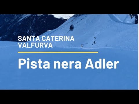 Adler | Skrudintuvas | AD 3223 | Galia 750 W | Lizdų skaičius 2 | Korpuso medžiaga Plastikas | Baltas video