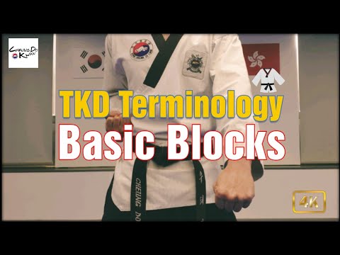 Taekwondo Terminology - Poomsae 1 & 2 Basic Blocks (Tutorial #1)