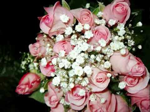 phool tumhe..hindi song.(Prasun--the flower)