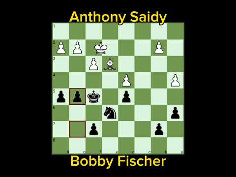 Fischer's Greatest Chess Game V1 | Saidy vs Fischer (1963/64)