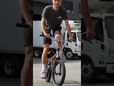 Wethepeople Crysis Matte champagne BMX 20" Bike