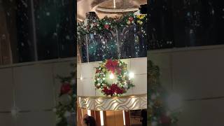 A cruise during the holidays makes the greatest time of year even more fun. #cruise #holidays