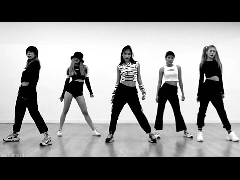 [TERRA - Girl Like Me] dance practice mirrored