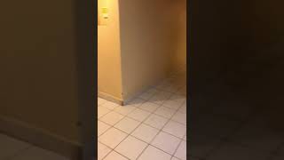 Cartas y whatsapp - los plebes del rancho de Ariel Camacho Cover Juane