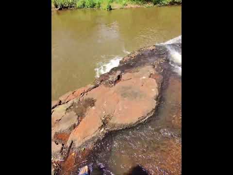 cachoeira do rio guarani em três barras do Paraná. #shorts