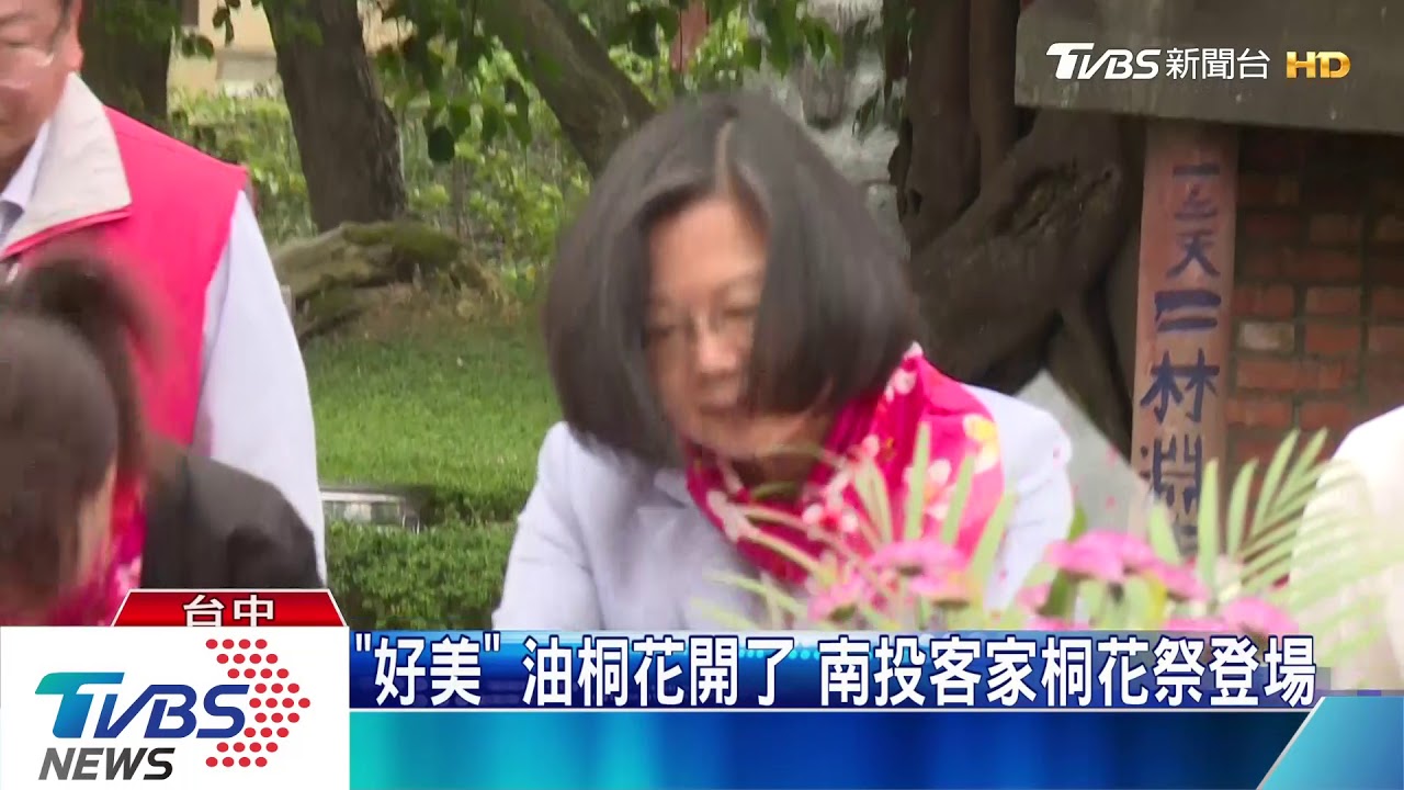 「好美」油桐花開了 南投客家桐花祭登場