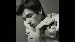 Brandon Flowers - Lonely Town