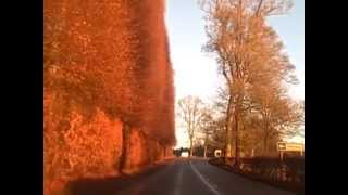 preview picture of video 'Meikleour Beech Hedge December Scotland'