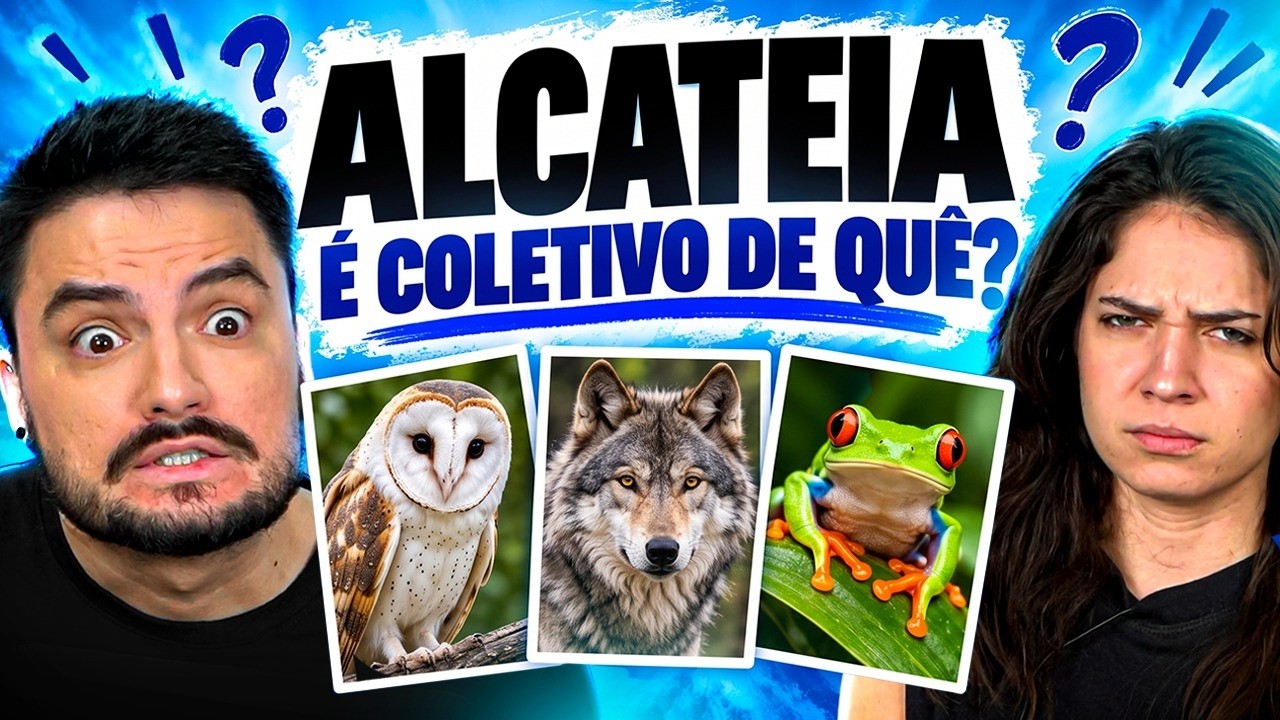 DESAFIO: É O COLETIVO DE QUÊ? Contra Marcella!