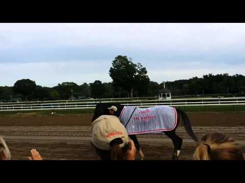 2015 Whitney: The Big Horse Heads Home