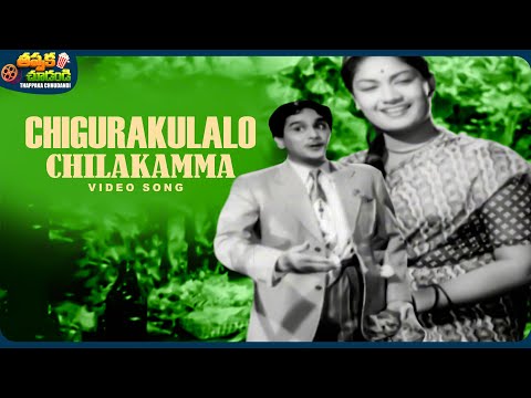 Chigurakulalo Chilakamma Video Song | Donga Ramudu | Akkineni Nageswara Rao | @ThappakaChudandi9