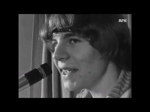 The Vanguards 1966 - 1985