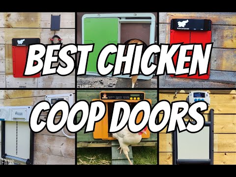 Best Automatic Chicken Coop Doors (2025 Update)