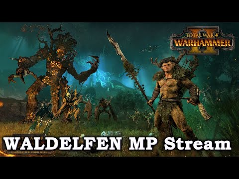 WALDELFEN-Fokus-STREAM - Total War: Warhammer 2