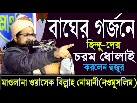 মাওলানা ওয়াসেক বিল্লাহ নোমানী | Mawlana Wasek Billah Numani | | বাংলা ওয়াজ