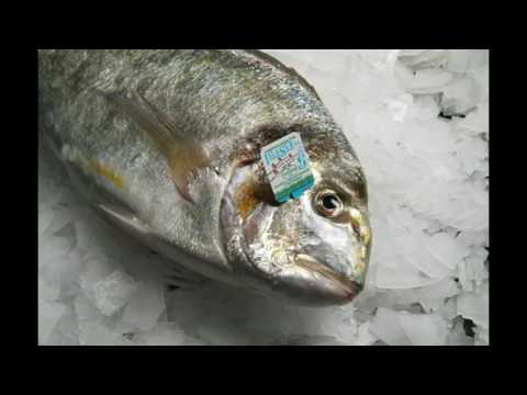 How I fell in love with a fish. TED2010 .Dan Barber