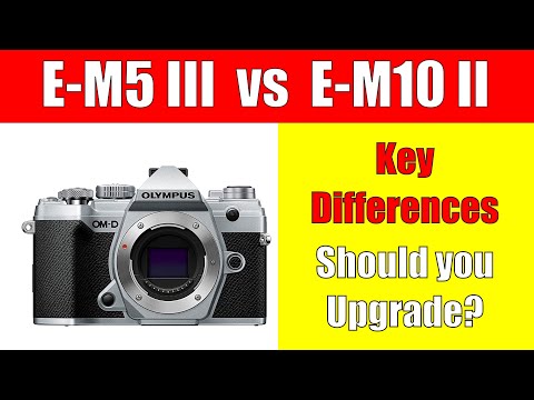 Olympus E-M5 Mark III vs E-M10 Mark II - Should you upgrade? ep.233