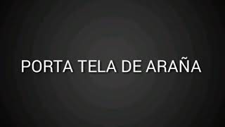 porta tela de araña LETRA lyric of music