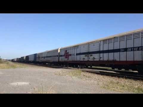 QR NATIONAL TRAIN WITH A LOAD OF SCT VANS NEAR HEXHAM
