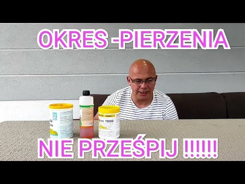 Tips for young, beginner breeders Moulting - pigeons according to H.G. Sojka Team.