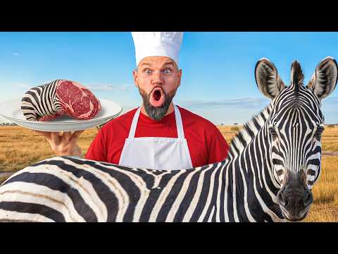 WIELKI TEST MIĘSA *ZEBRA, BIZON, GOŁĄB*