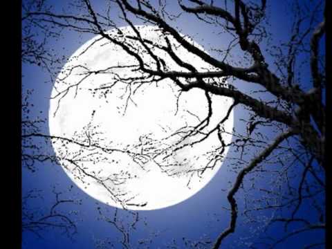 Carlos José - LUA BRANCA - Chiquinha Gonzaga (Francisco Edwiges Neves Gonzaga)