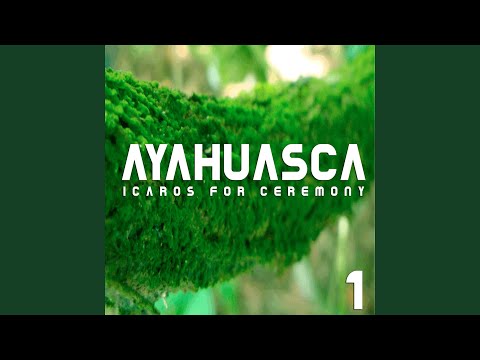 Medicine (Cures For All)