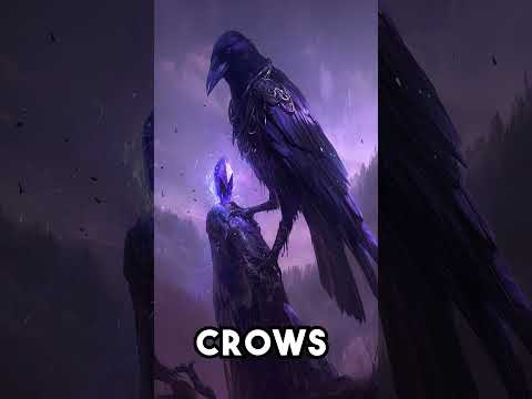 What's the REAL Difference Between Crows and Ravens in Mythology?