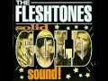 The Fleshtones "Ten Dollars More"