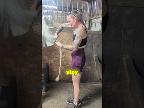 Nejdojemnější rozloučení se zvířetem 😢🐎