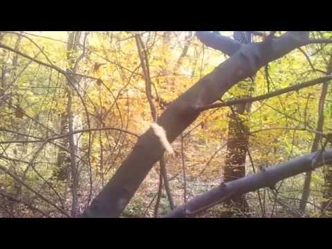 Isihia - Vetre Исихия - Ветре