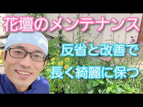 春にディプラデニアを剪定するにはどうすればよいですか？花を美しく保つためのヒントをご紹介します  庭園