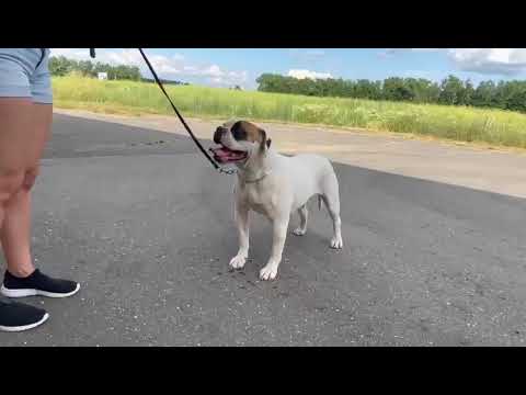 Carpen Diaz Yamina 2 years old