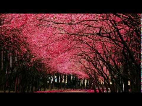 Piccolo Amore - Ricchi e Poveri