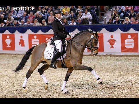 Glück Auf A - Hengstgala K+K Cup