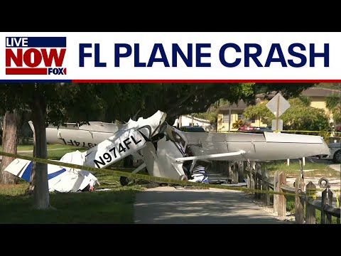 Video | Florida crash: At least 7 injured after plane collides with car | LiveNOW from FOX