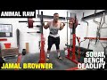 Animal Raw | Jamal Browner's Squat, Bench, Deadlift Day