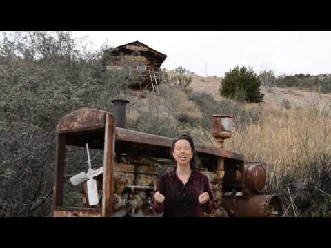 Flush Lung Meridian for Your Health with Dondi Dahlin!