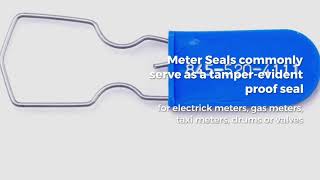 Meter AND Cable  security seal