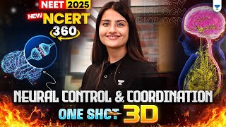 NEET 2025 Biology: Neural Control & Coordination 3D One Shot | NCERT 360° Word-by-Word | Seep Pahuja
