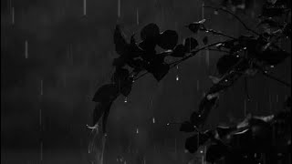 The Smashing Pumpkins-Raindrops + Sunshowers 가사해석