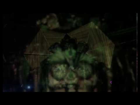 Kokobloko & Radice Live @ Atman Festival - Sri Lanka 2017